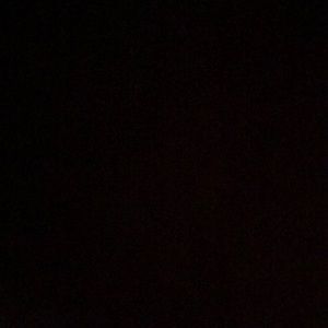 Meet your Posher, Terrance